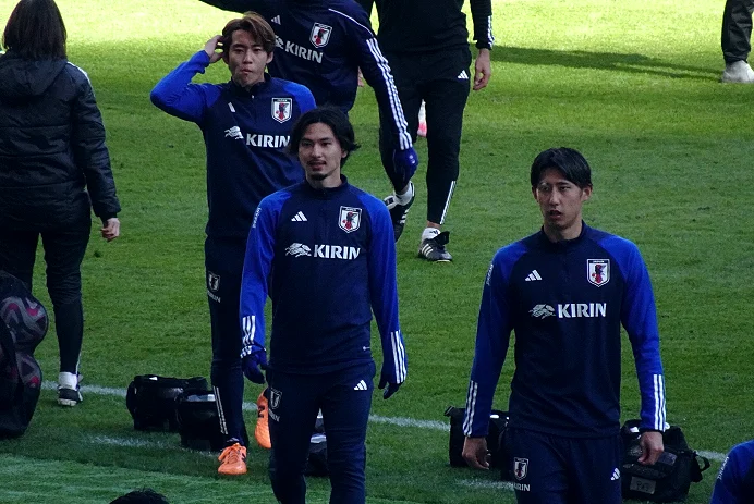 更新节奏